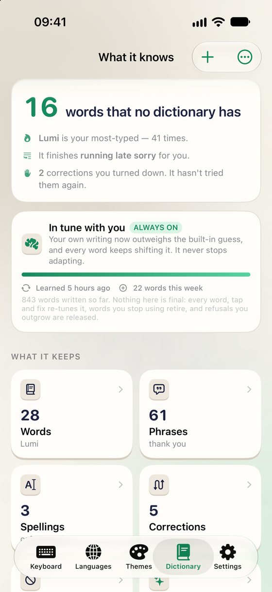 The “What it knows” screen: 16 words that no dictionary has, and tiles counting words, phrases, spellings and corrections.